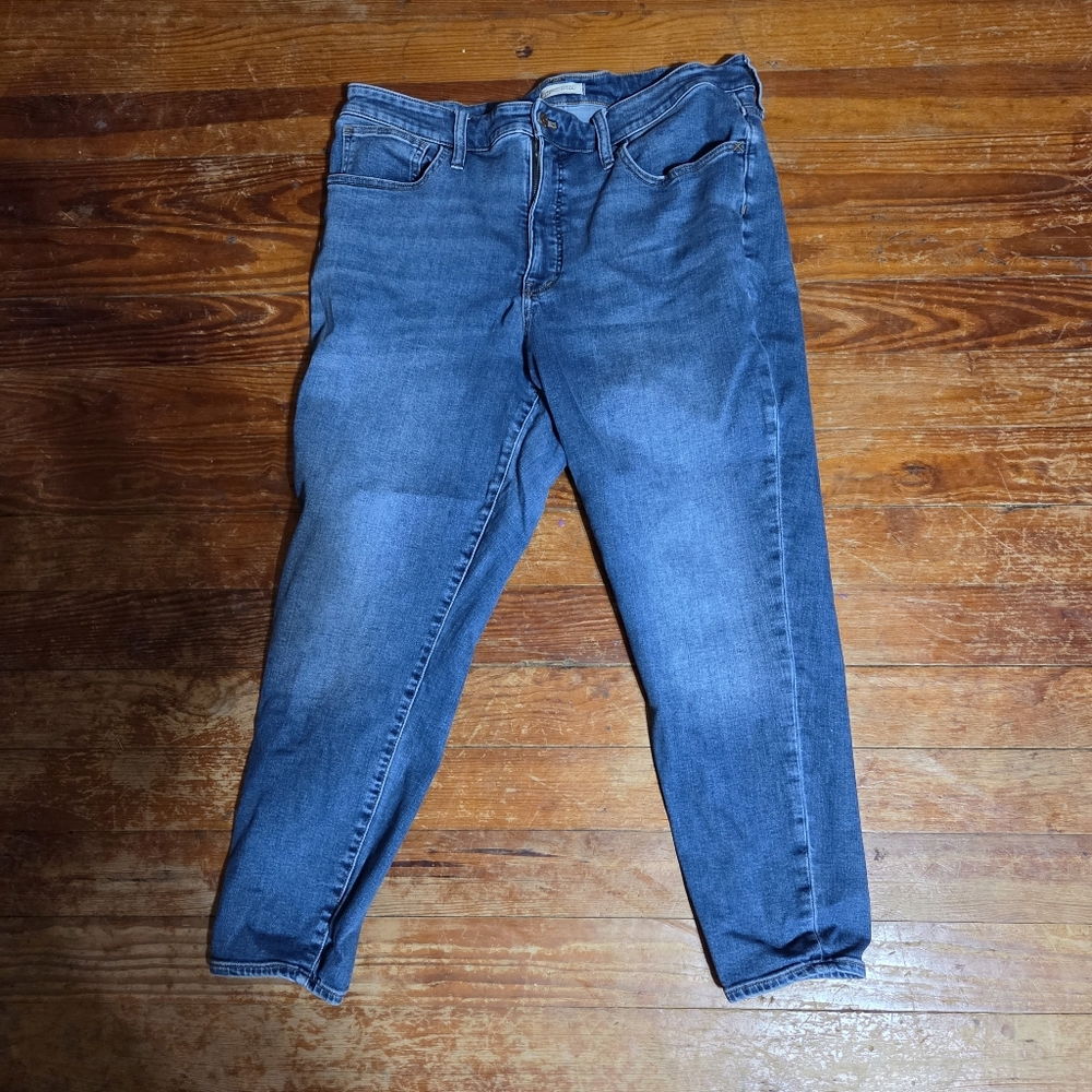 Madewell Classic Indigo Skinny Jeans